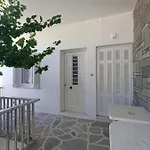 Dandelion Paros Iv